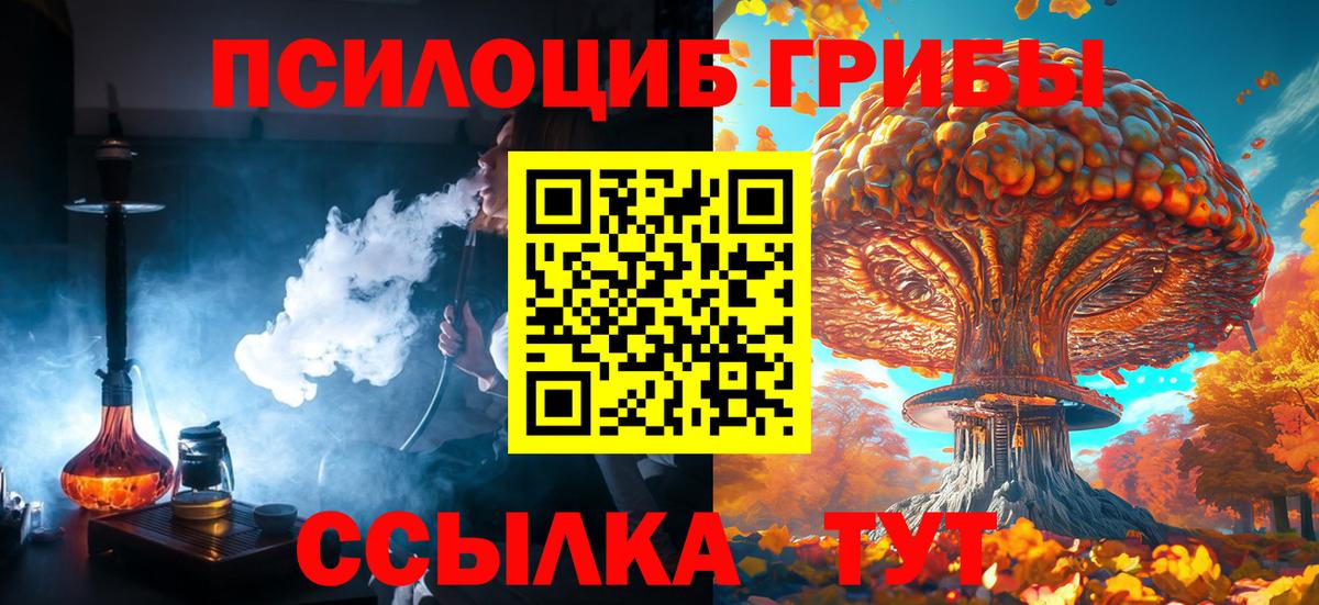 Долгопрудный  Галлюциногенные грибы прущие грибы  Вход с VPN 