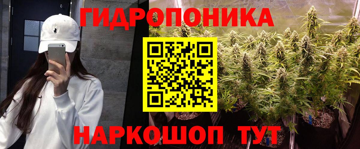 Шишки марихуана AK-47 Долгопрудный